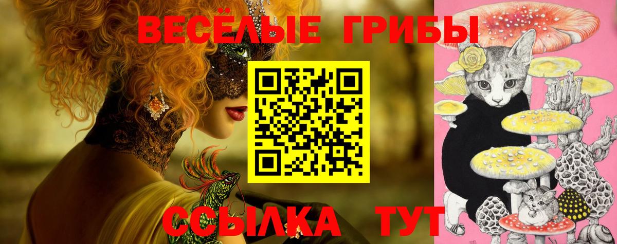 Сальск  Псилоцибиновые грибы мухоморы  Вход с VPN 