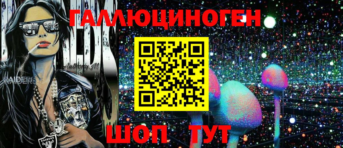 Галлюциногенные грибы Psilocybine cubensis Сальск